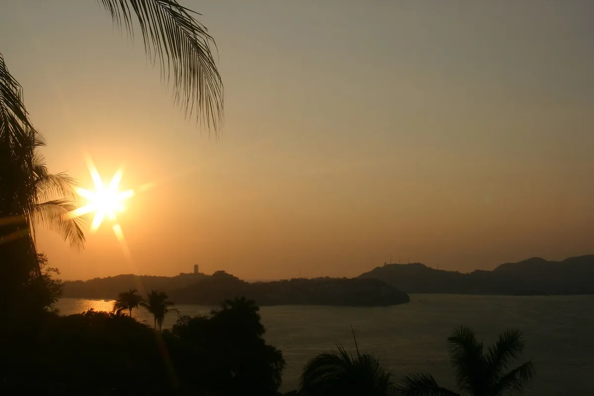 Sunset over Acapulco Bay with palm fronds in silhouette