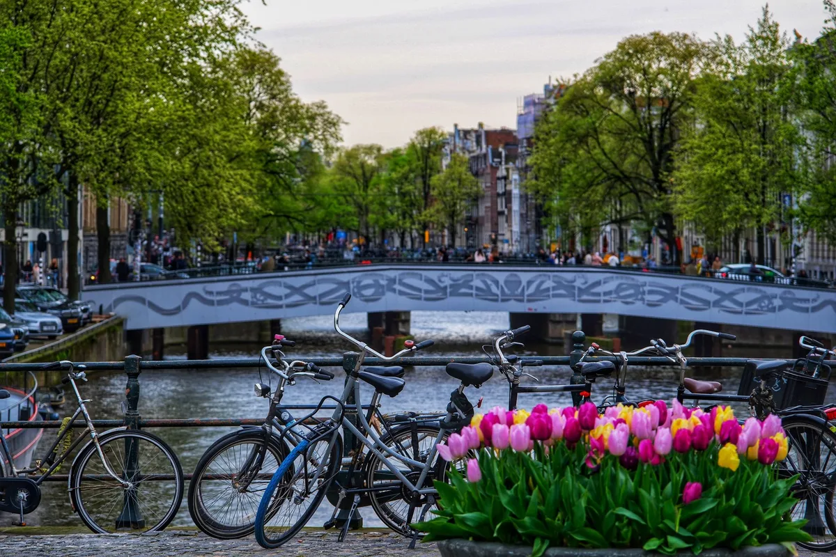 Bikes and tulips on a canal bridge in spring