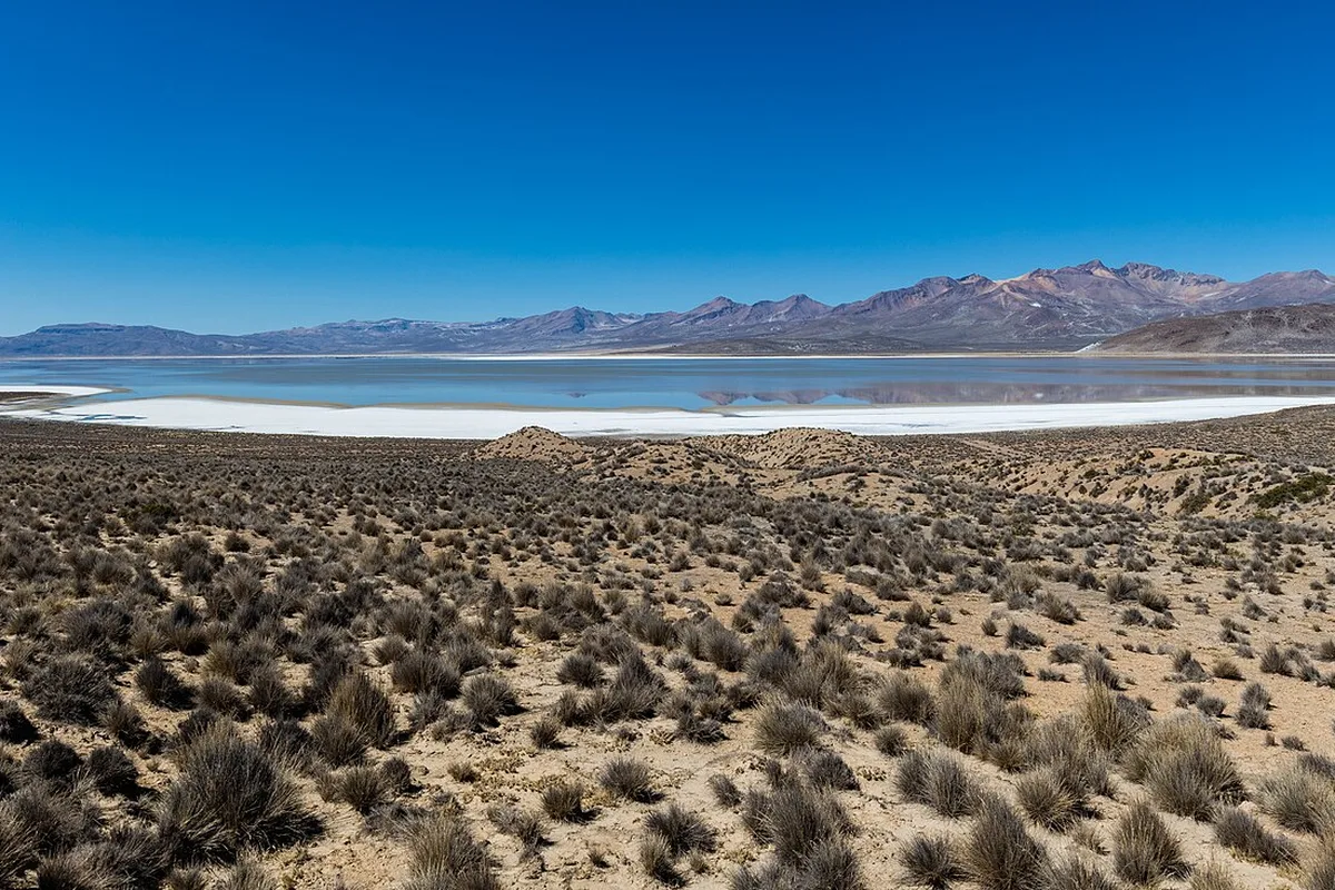 The salt flats of Laguna de Salinas in the Salinas y Aguada Blanca Reserve