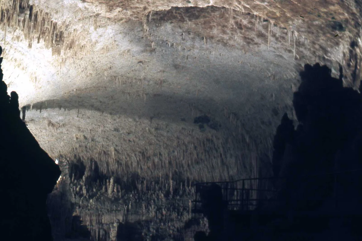 Inside the upper gallery of Jeita Grotto, stalactites over the visitor walkway