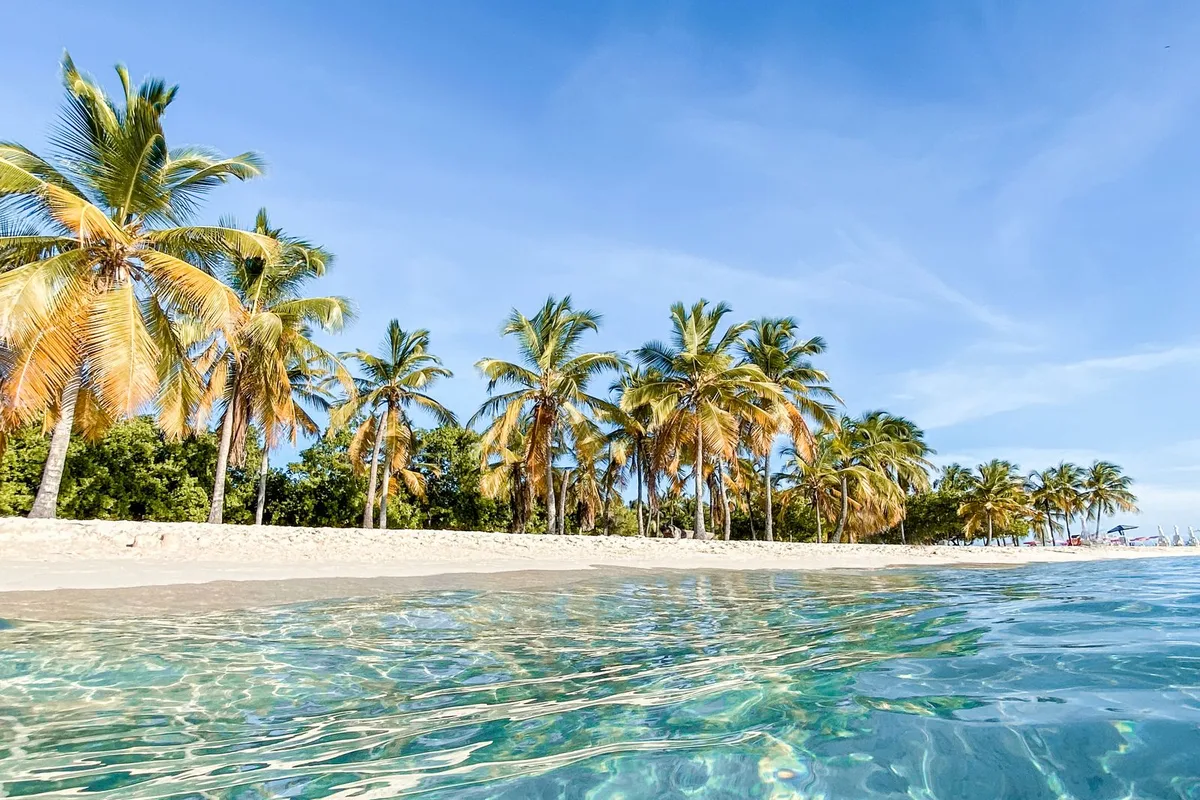 Palms over glass-clear shallows on the island's sheltered side
