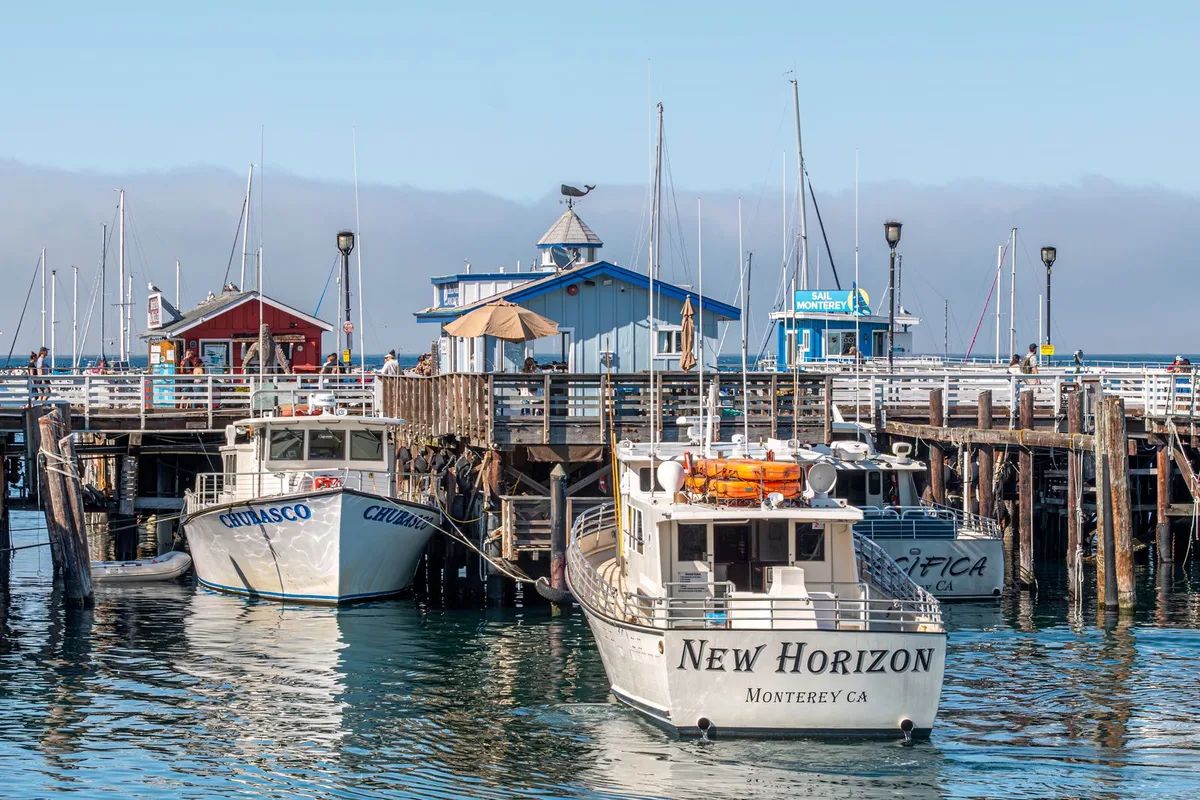 Whale watching boats at Old Fisherman's Wharf in Monterey