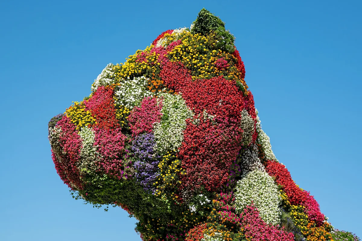 Puppy, Jeff Koons' flower-covered dog sculpture, outside the Guggenheim Museum Bilbao
