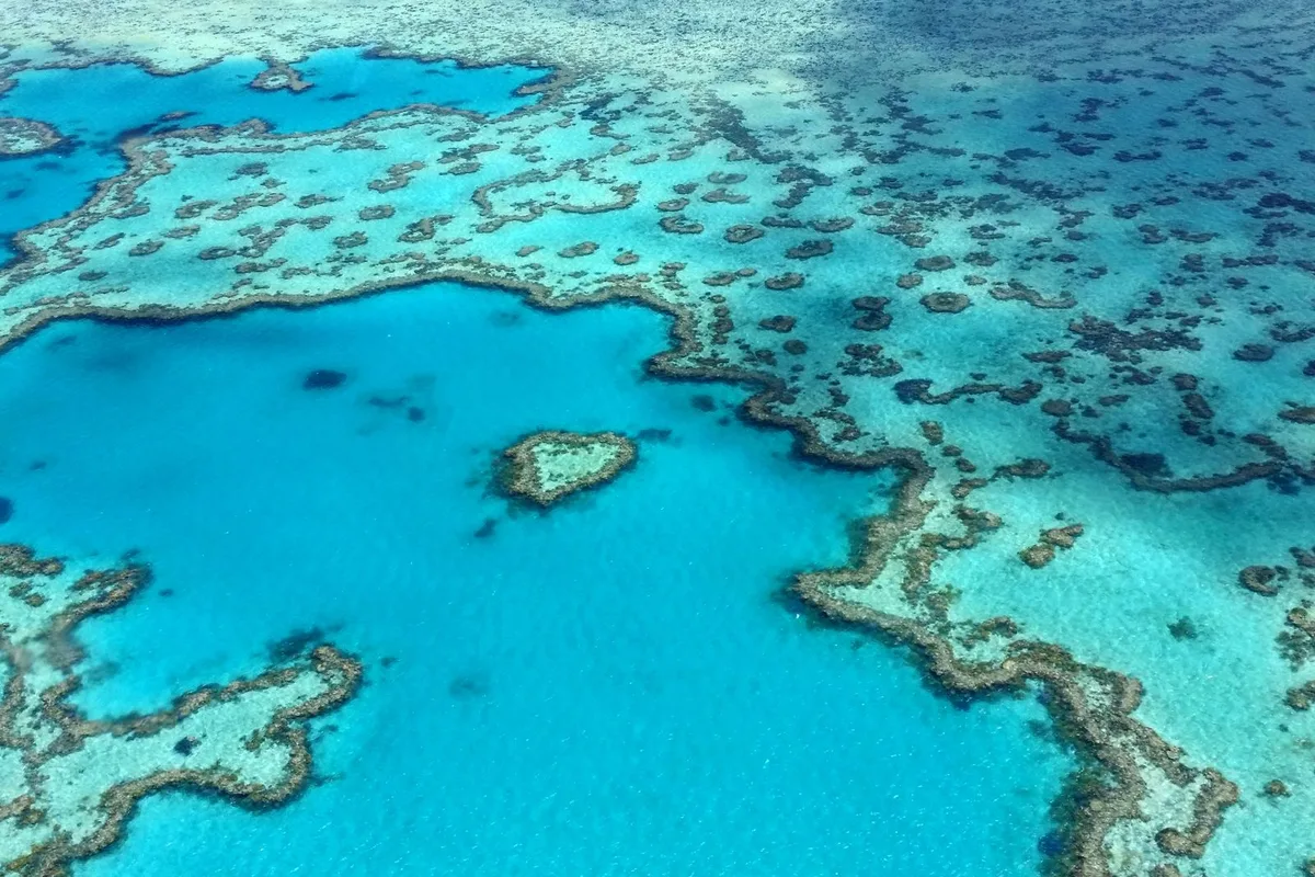 The Great Barrier Reef from the air — turquoise shallows and coral bommies off Cairns