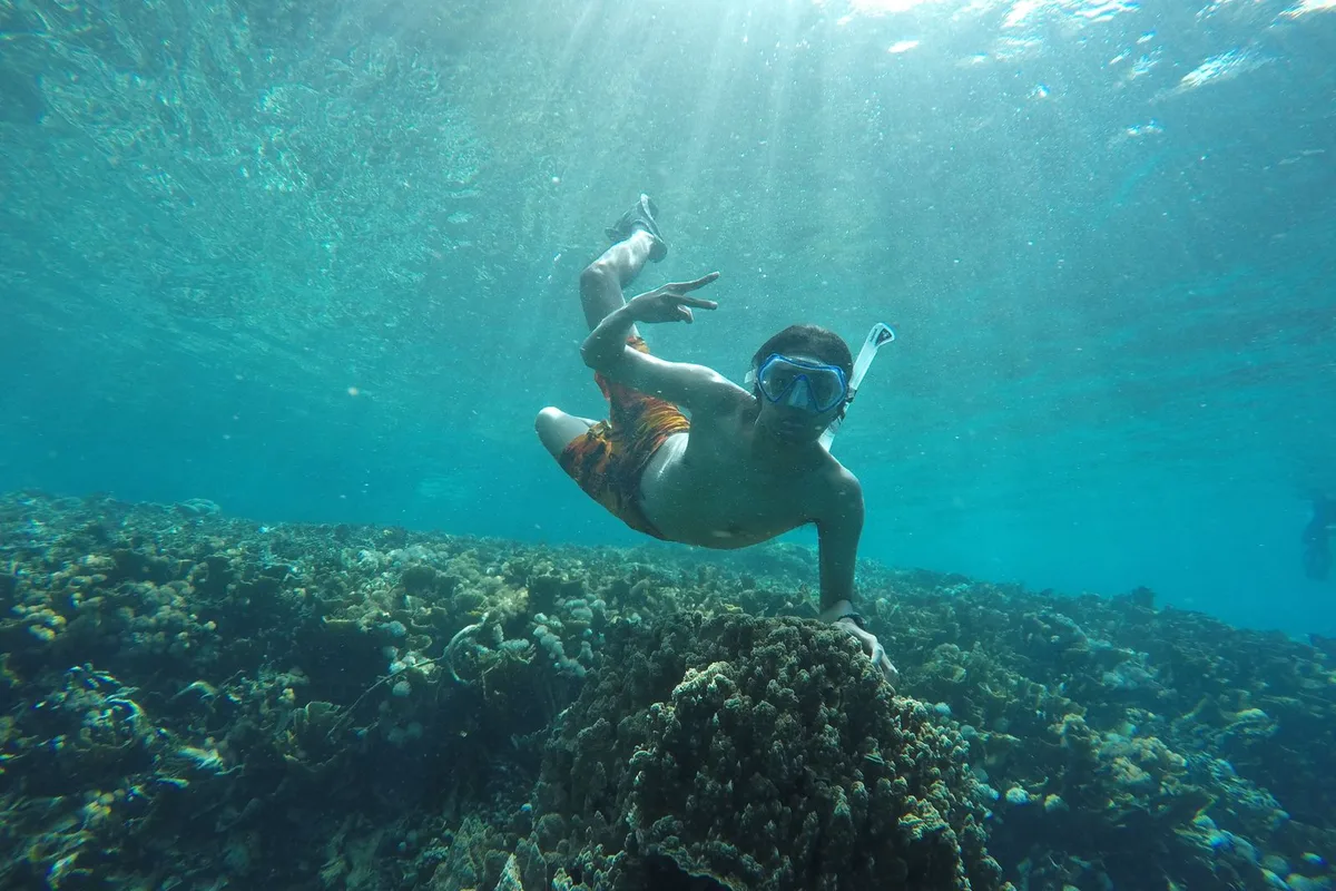 A snorkeller finning over coral gardens at an outer reef site