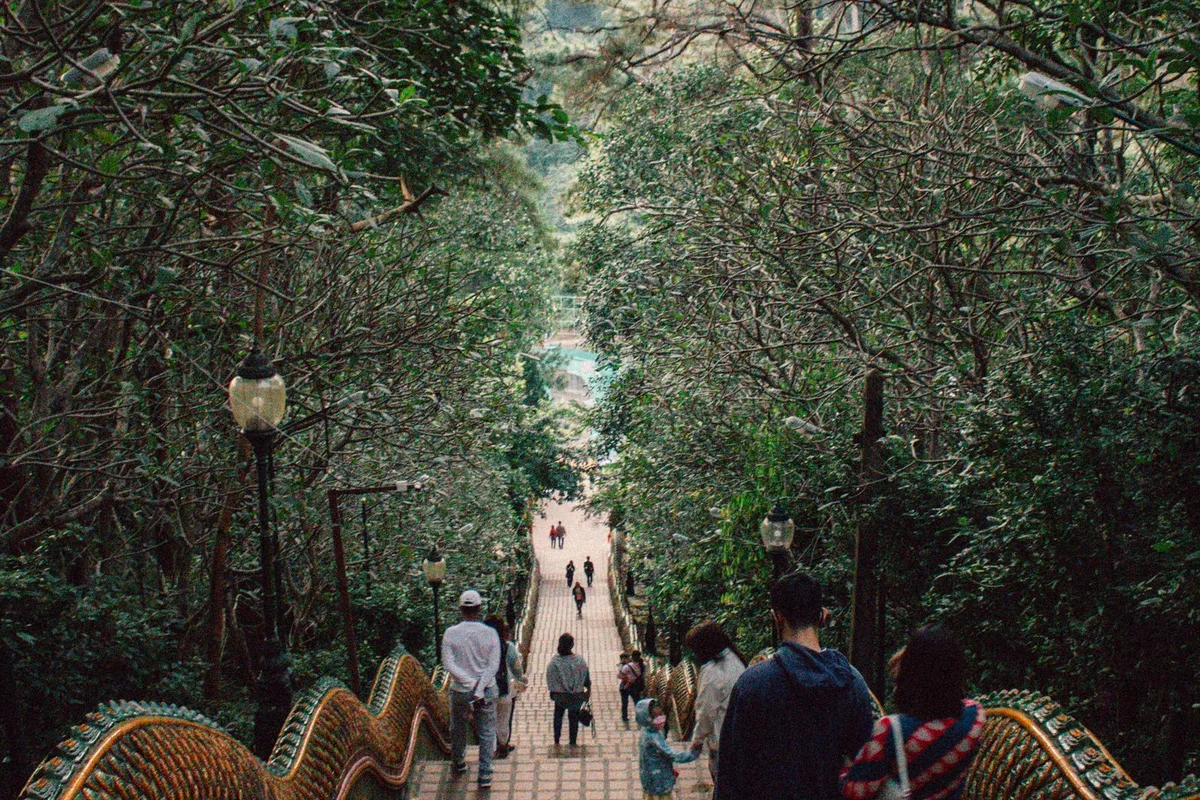 A naga-flanked path climbing through the forest on Doi Suthep, towards Wat Pha Lat