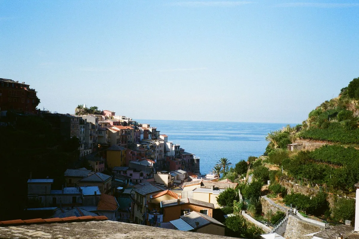 Terraced vineyards stepping down to a Cinque Terre village and the sea