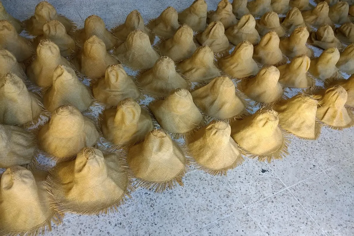 Rows of woven Panama hat bodies at the Homero Ortega factory in Cuenca