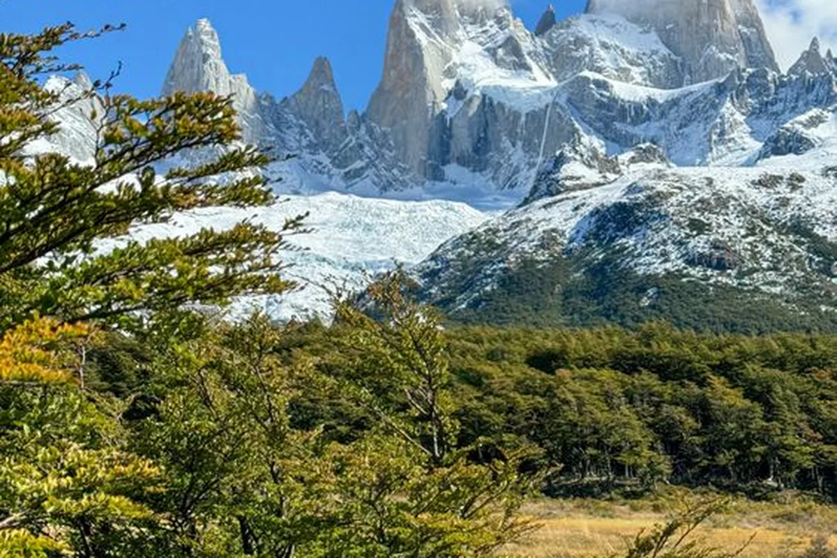 Fitz Roy above green lenga forest in summer, El Chaltén