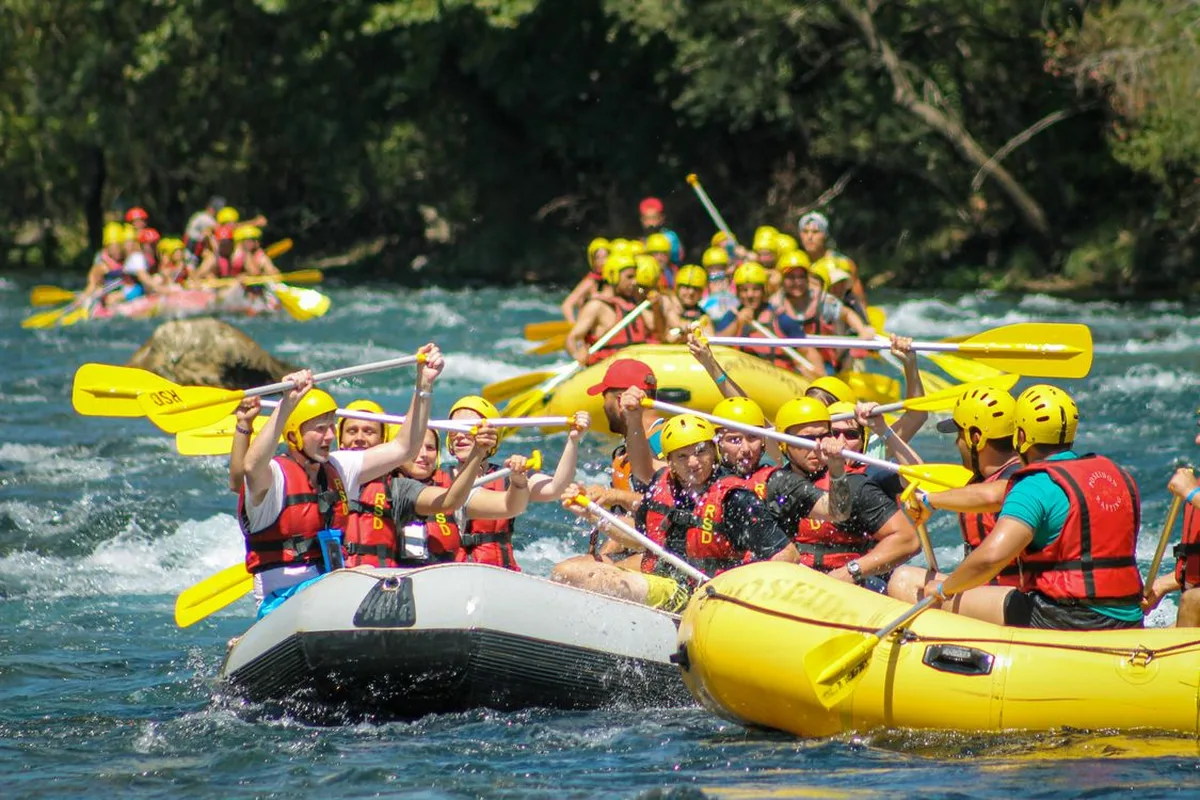 Rafters paddling white water in yellow rafts