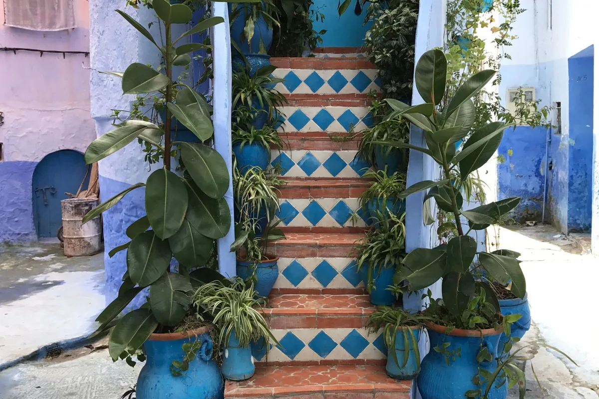 Blue-washed lanes and flowerpots in Chefchaouen's medina