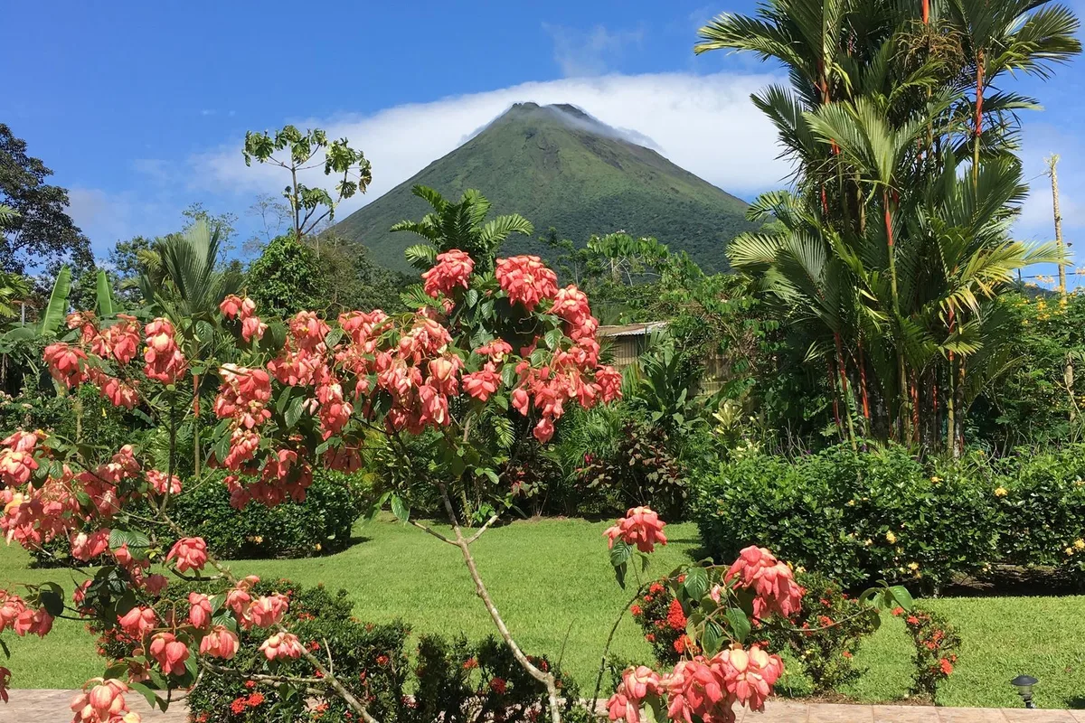A volcano cone rising behind gardens on Ometepe Island, Nicaragua