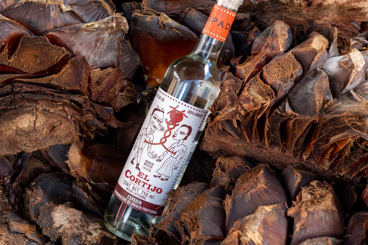 A bottle of mezcal resting on roasted agave piñas