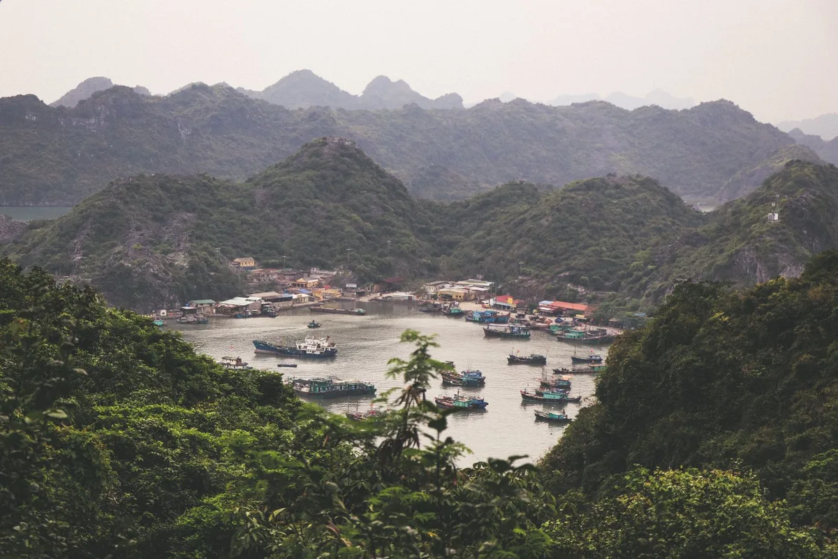 The harbour at Cat Ba town, boats moored under the karsts of Lan Ha Bay