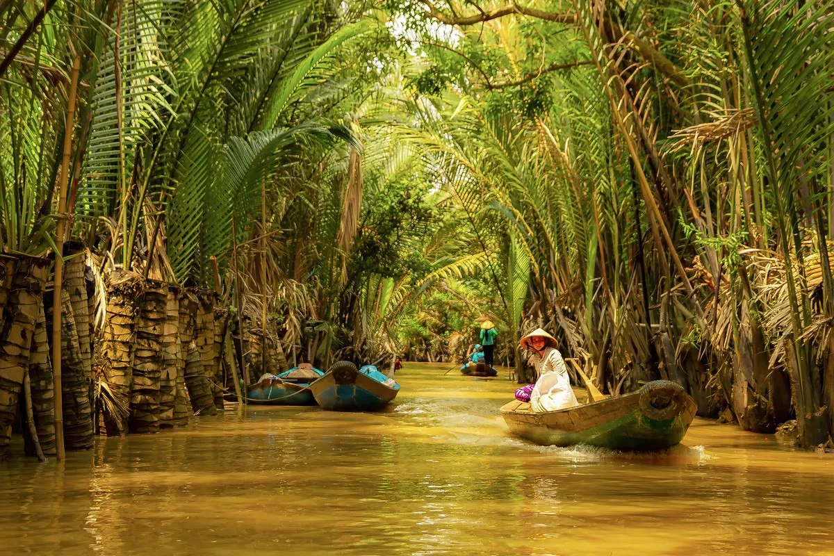A sampan gliding through a palm-lined canal in the Mekong Delta