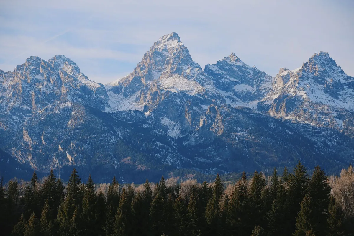 The Grand Teton range above the pine forest of Jackson Hole