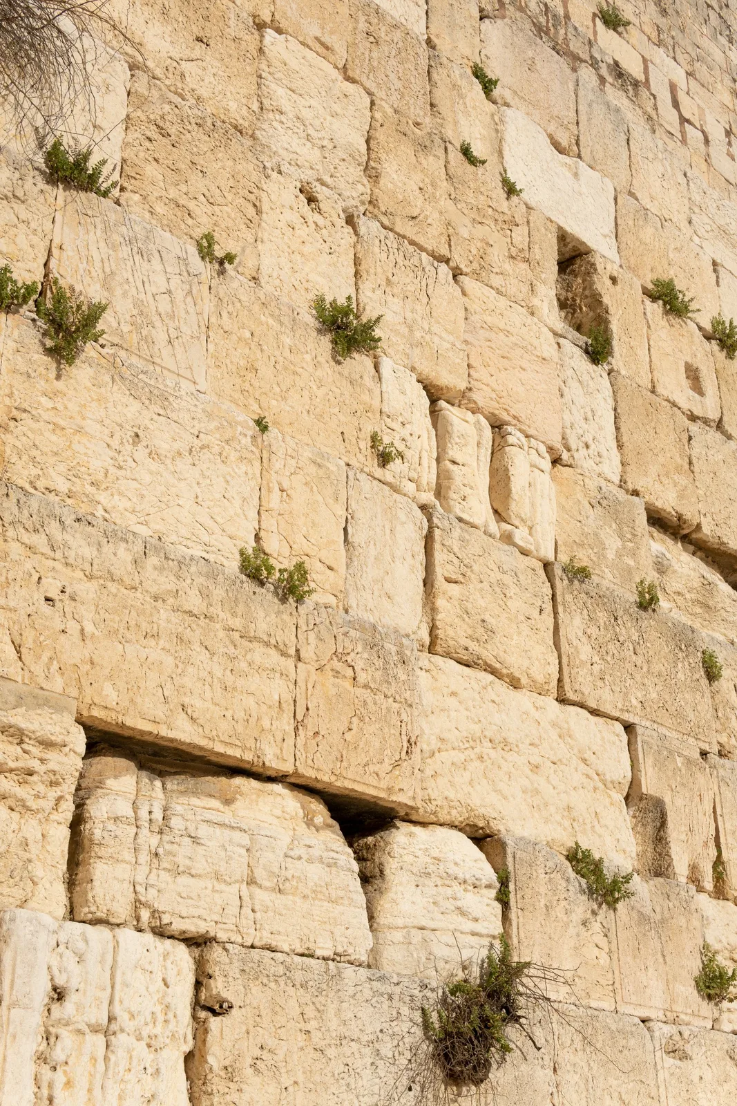 The ancient stones of the Western Wall up close