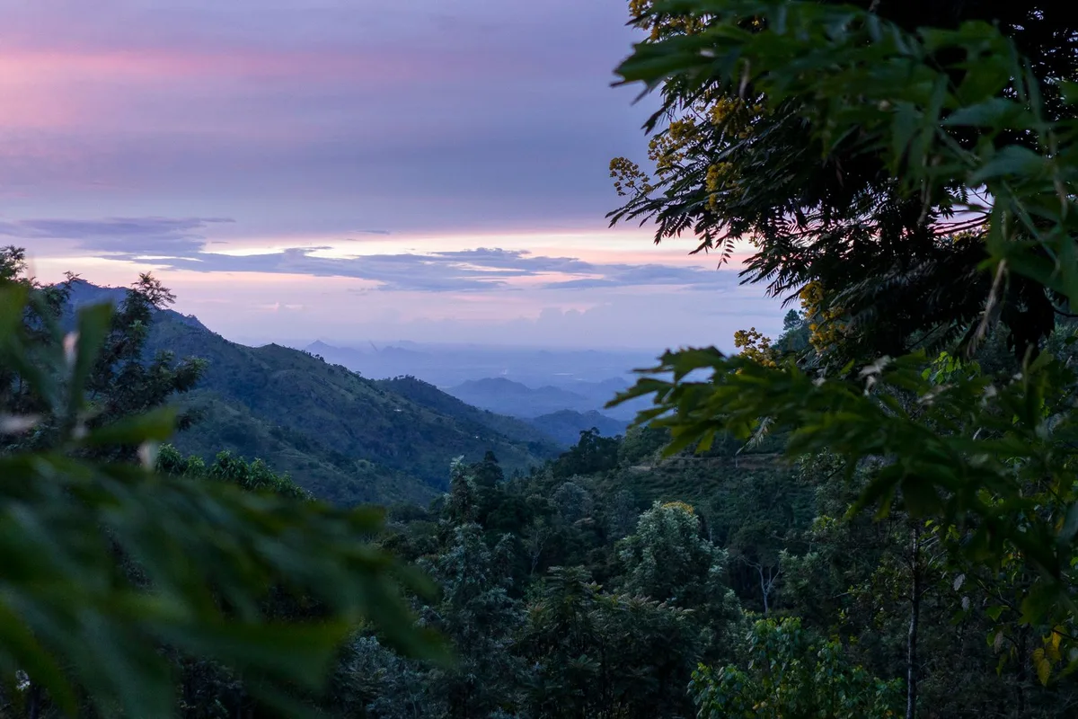 Purple dusk light over the forested hills around Kandy