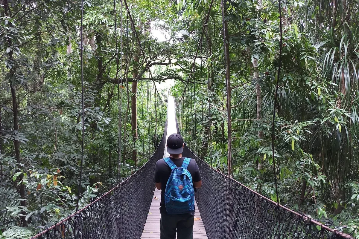 A walker crossing a hanging bridge through rainforest canopy near La Fortuna