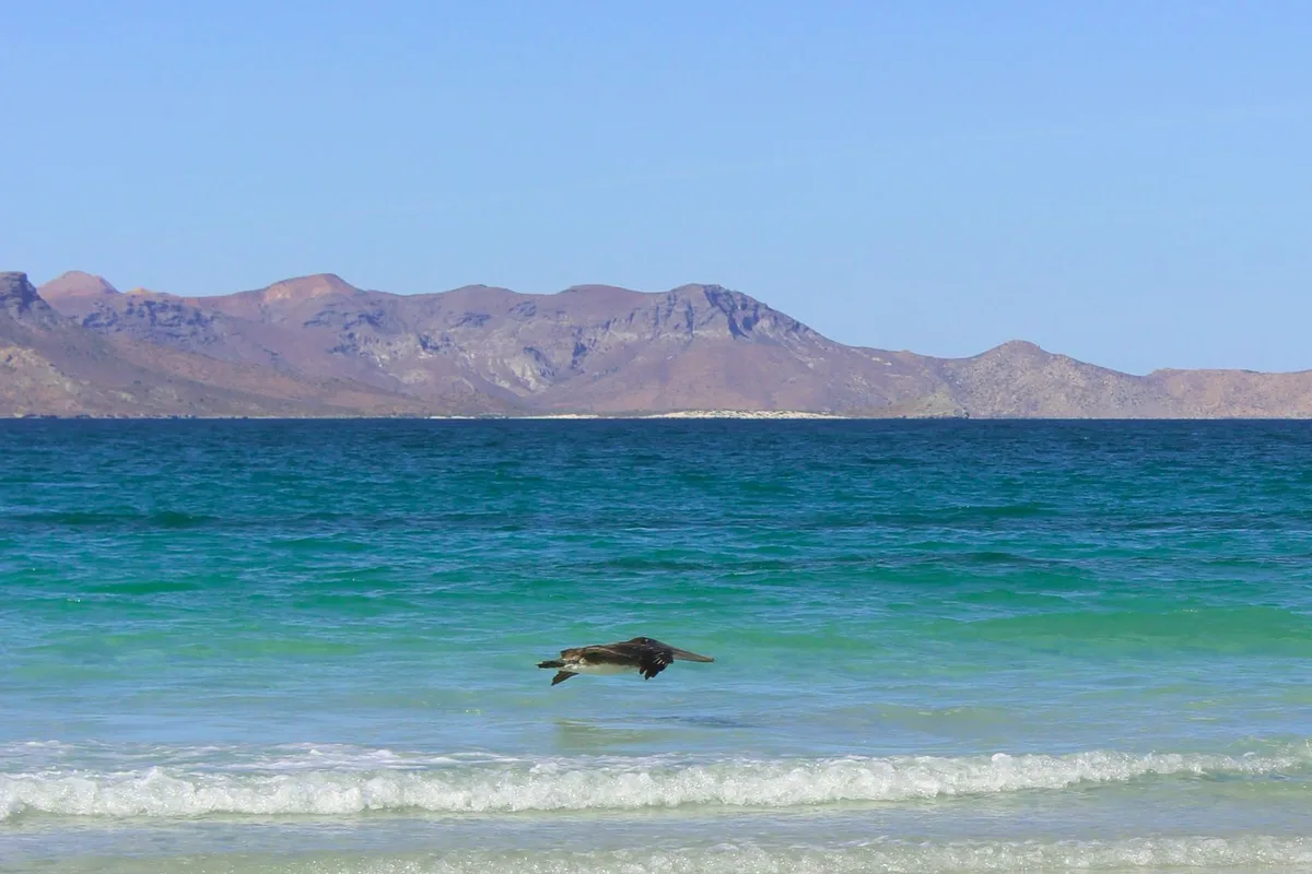 The shallow turquoise water of Balandra bay