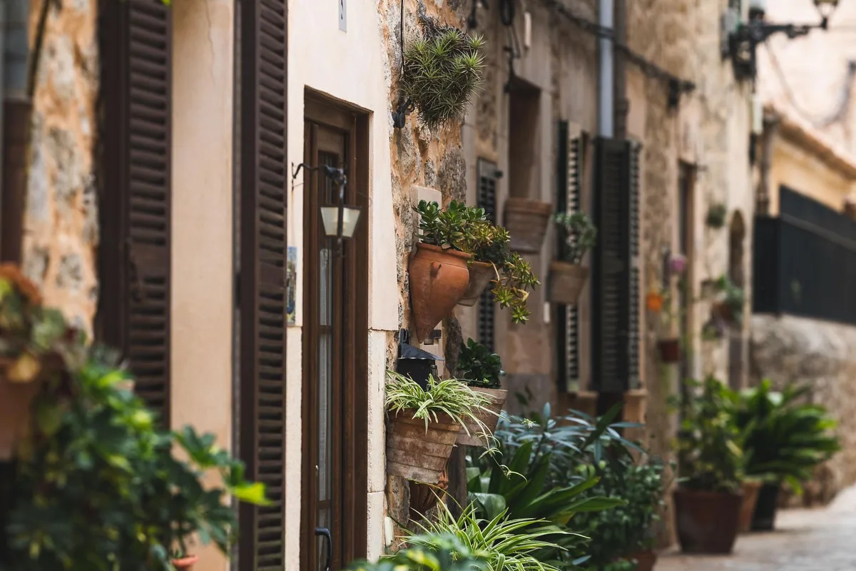 A stone lane in Valldemossa lined with flowerpots and green shutters