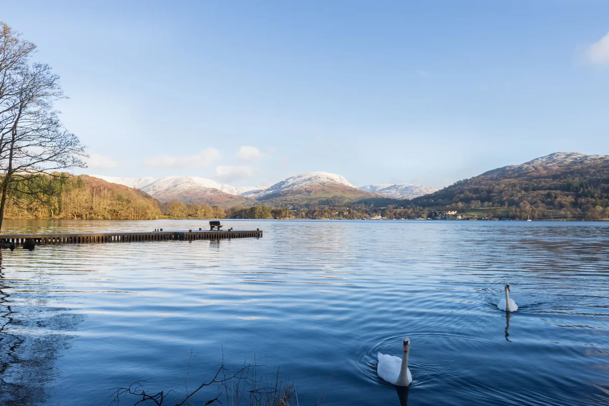 Swans on a still Lake District lake with snow-dusted fells behind