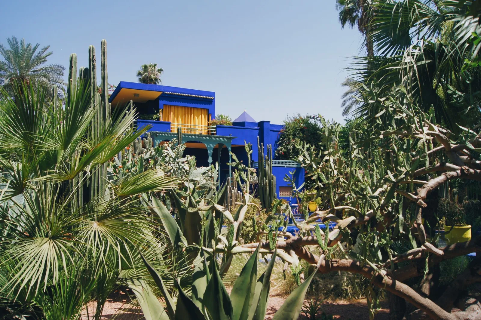 The blue villa in the Majorelle Garden among cacti