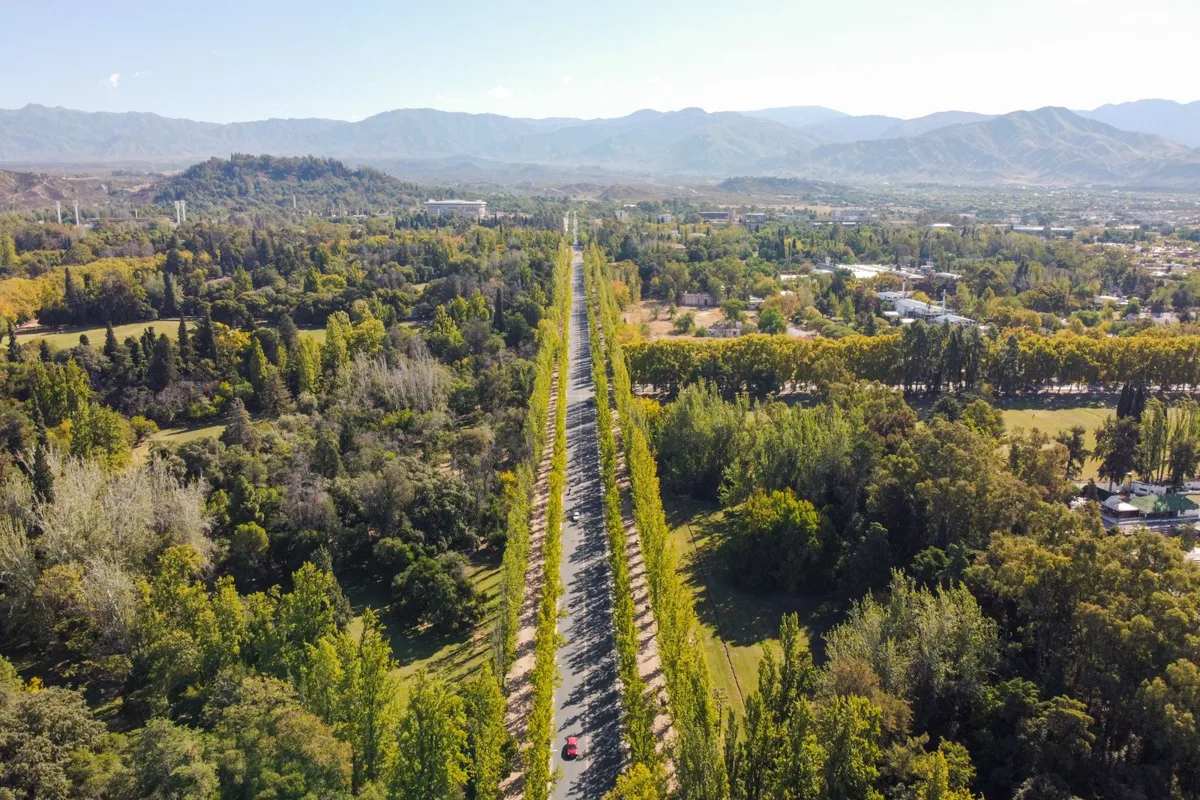 An aerial view down a tree-lined avenue into General San Martín Park, Mendoza's green grid