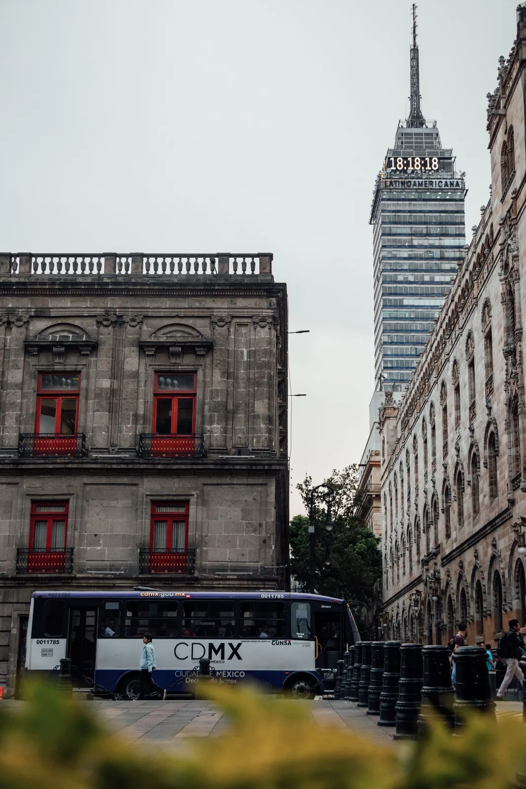 A traveler walking a tree-lined street in Condesa