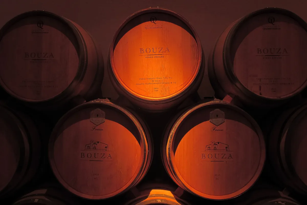 Oak barrels stamped Bouza stacked in the cellar of Bodega Bouza