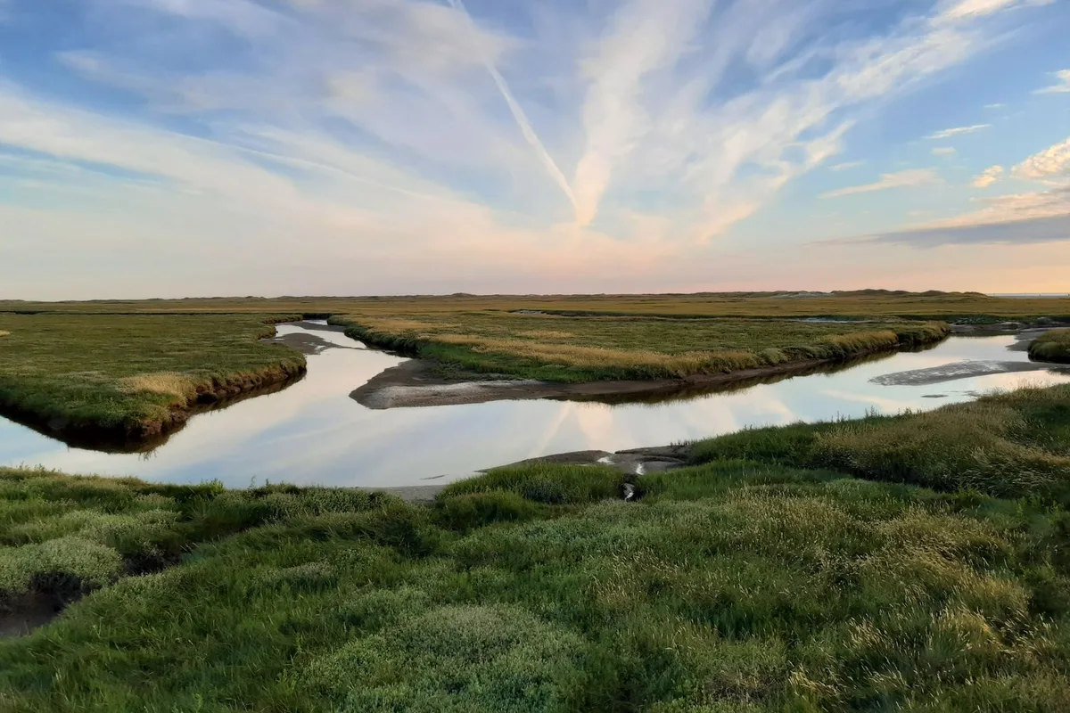A salt marsh creek winding through cordgrass at sunset