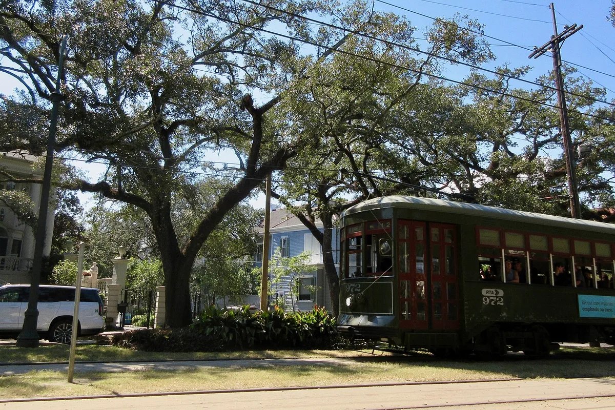 A St. Charles Avenue streetcar passing under the live oaks