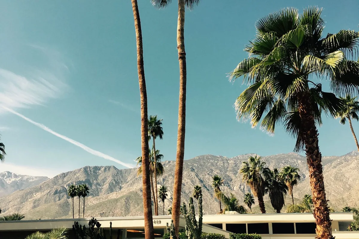 Palms and a mid-century roofline under the San Jacinto Mountains in Palm Springs