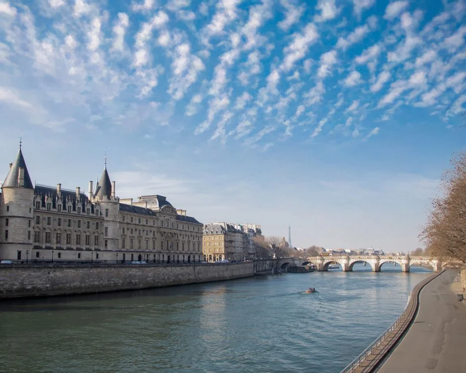 Paris in spring with chestnut trees in bloom