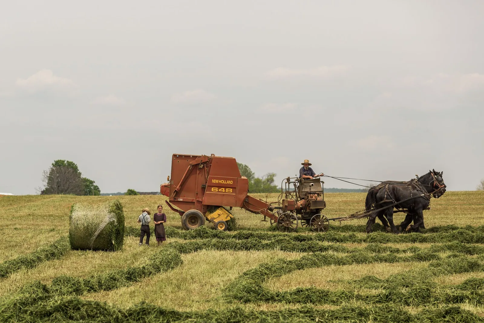 an Amish family baling hay with a horse-drawn baler in a Lancaster County field