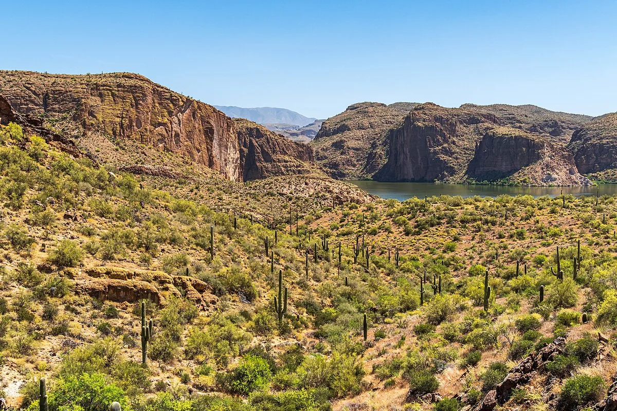 Saguaro slopes above Canyon Lake on the Apache Trail