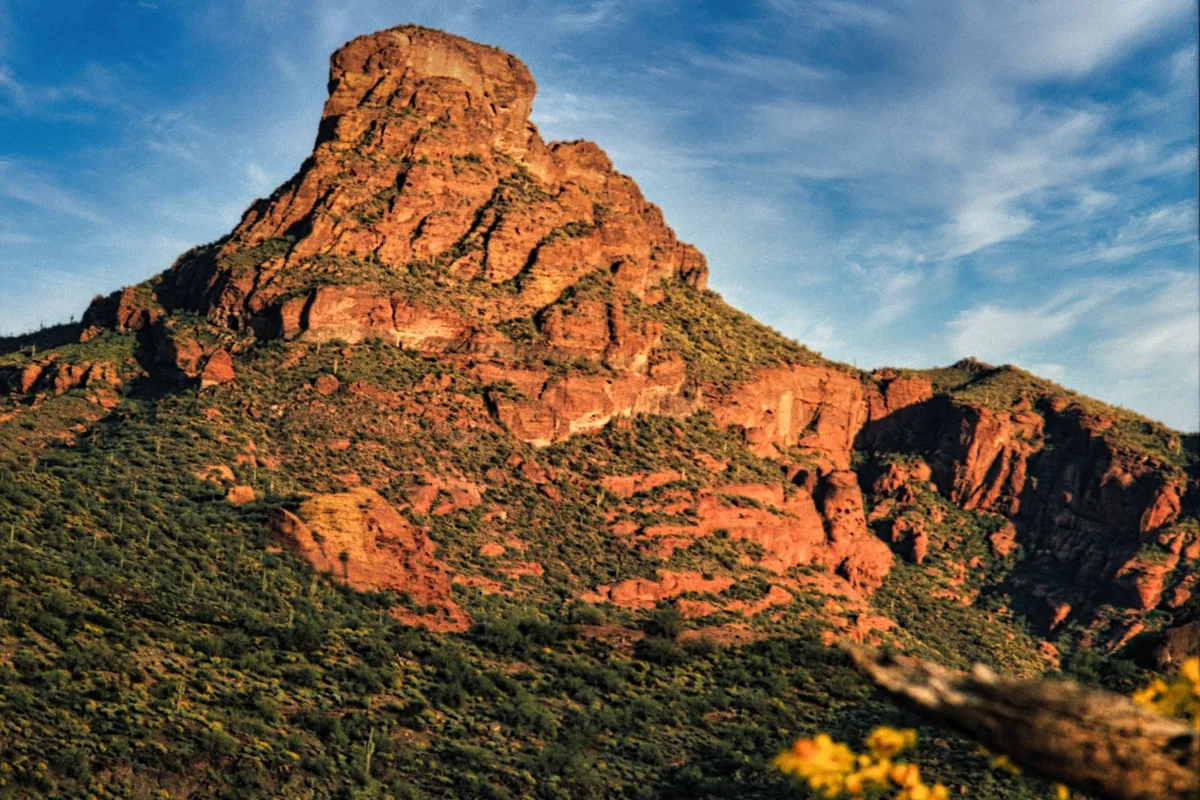 A red rock butte above spring wildflowers in the desert near Phoenix