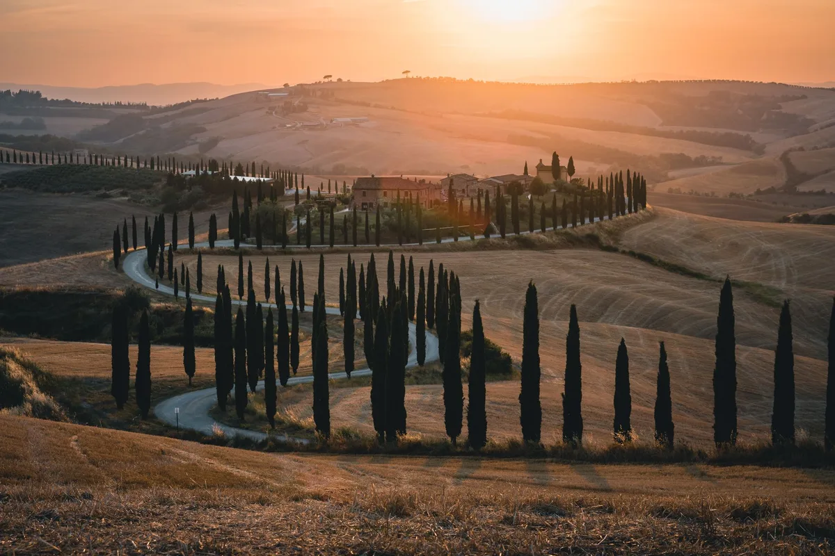 A cypress-lined road crossing Tuscan hills at sunset