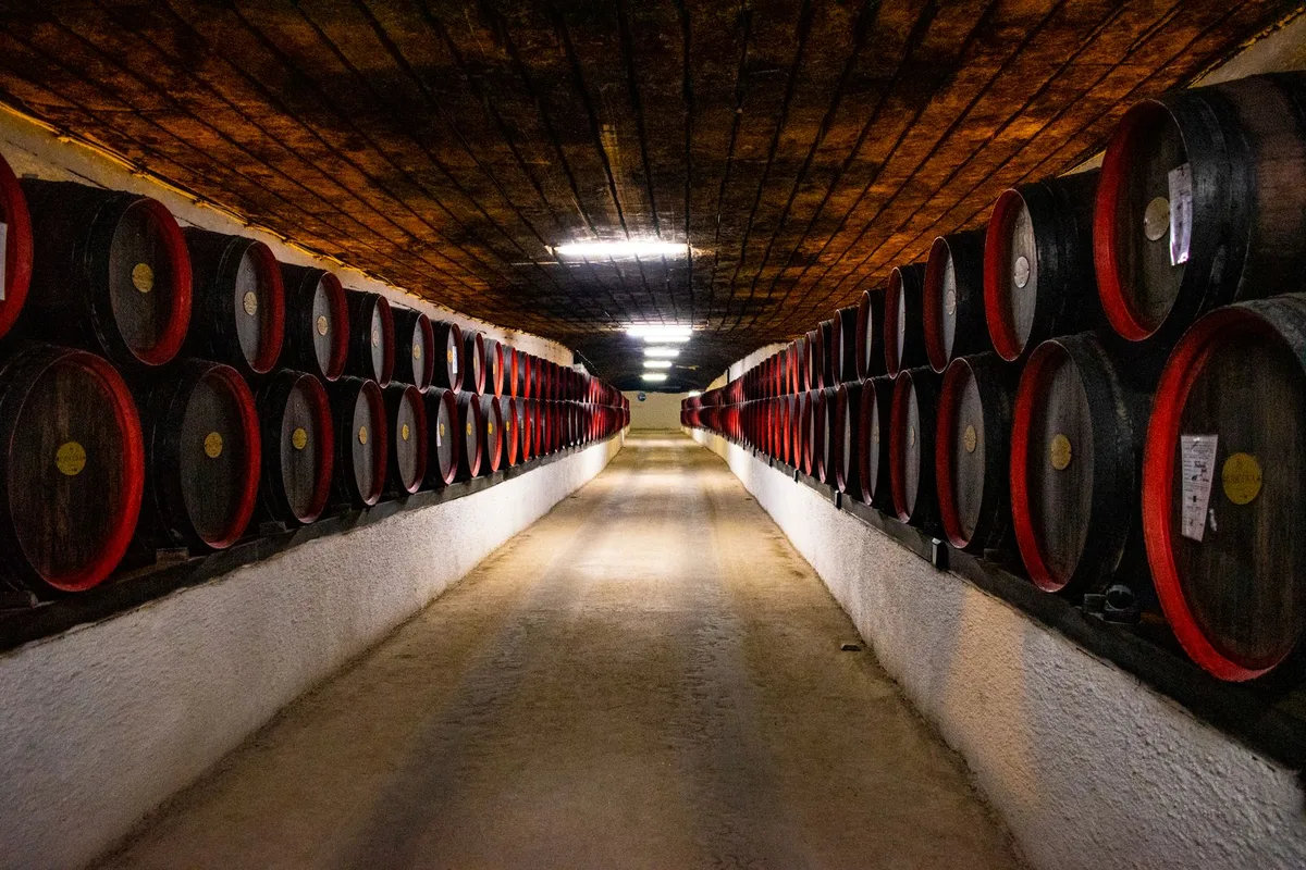 Oak barrels ageing port wine in a Vila Nova de Gaia lodge