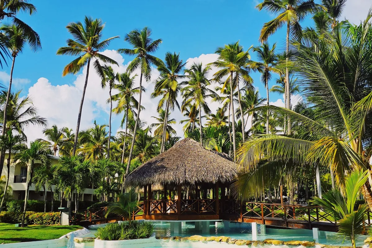 A resort pool under palm trees in Punta Cana, a thatched palapa at the water's edge