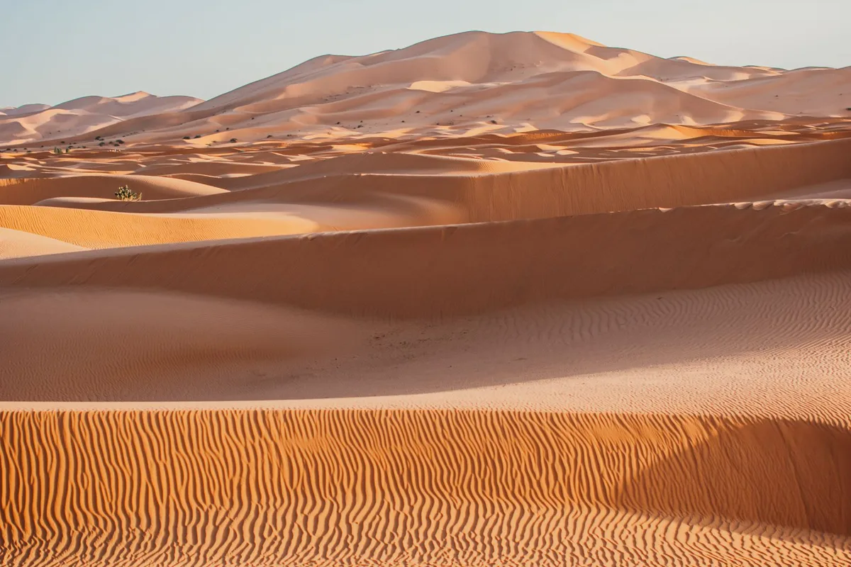 Rippled orange dunes under a clear sky on the desert plateau outside Riyadh