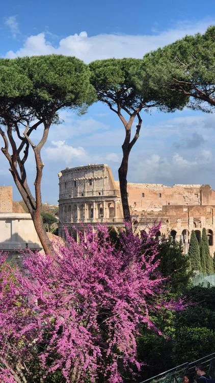 When to go to Rome and what it costs