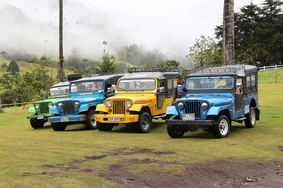 Colourful Willys jeeps lined up in the Cocora Valley, ready for the run back to Salento