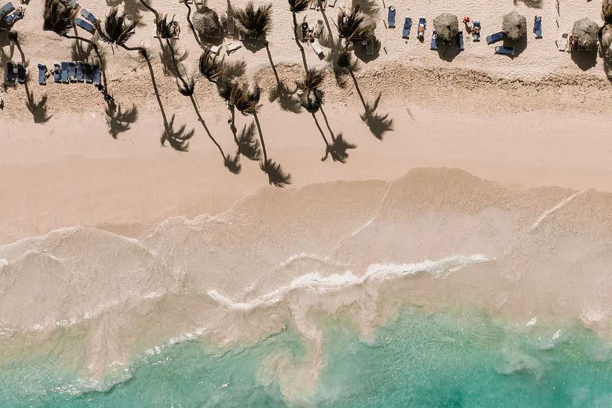 Palm umbrellas and turquoise water along a San José del Cabo beach, seen from above