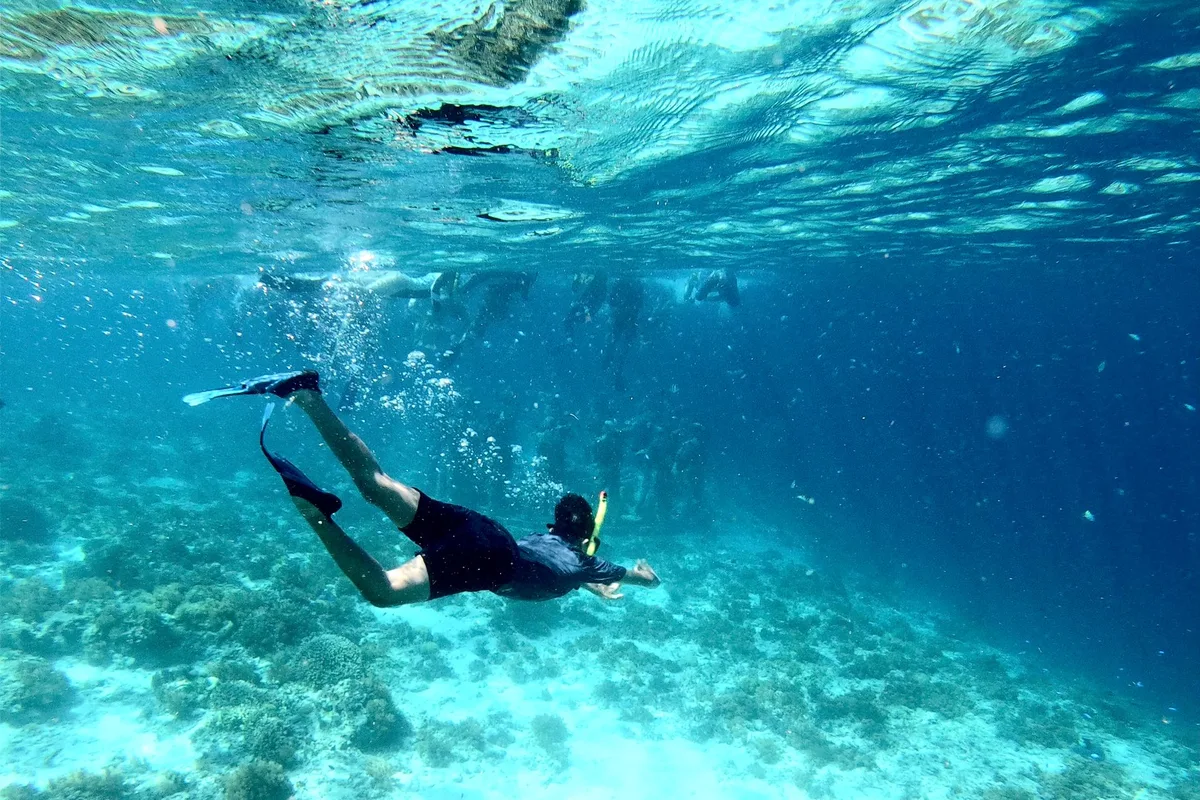 A snorkeller floating over the clear reef water of a Corridor bay