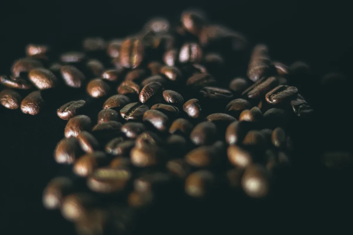 Roasted Salvadoran coffee beans, ready to pack for the trip home