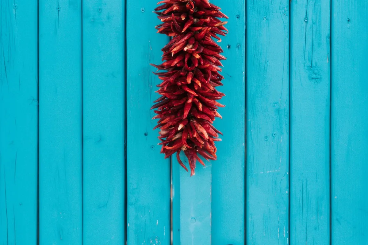 A turquoise wooden gate with a hanging ristra of dried red chiles