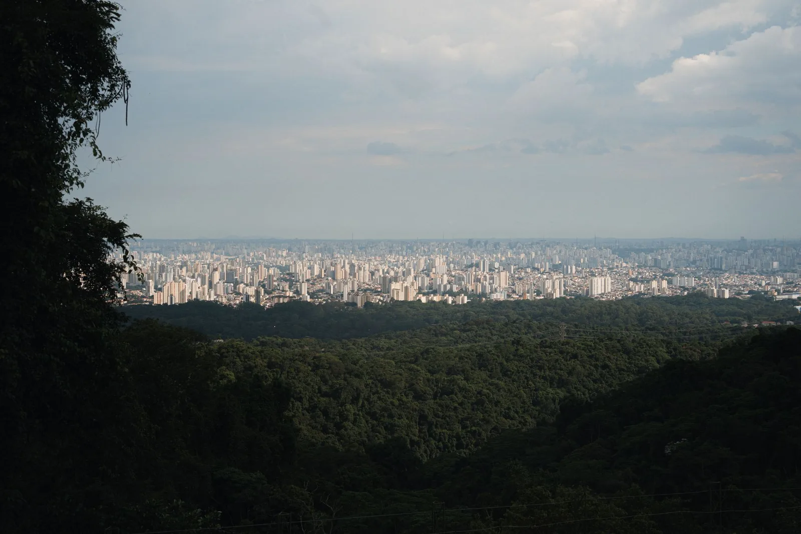 São Paulo in the pleasant season