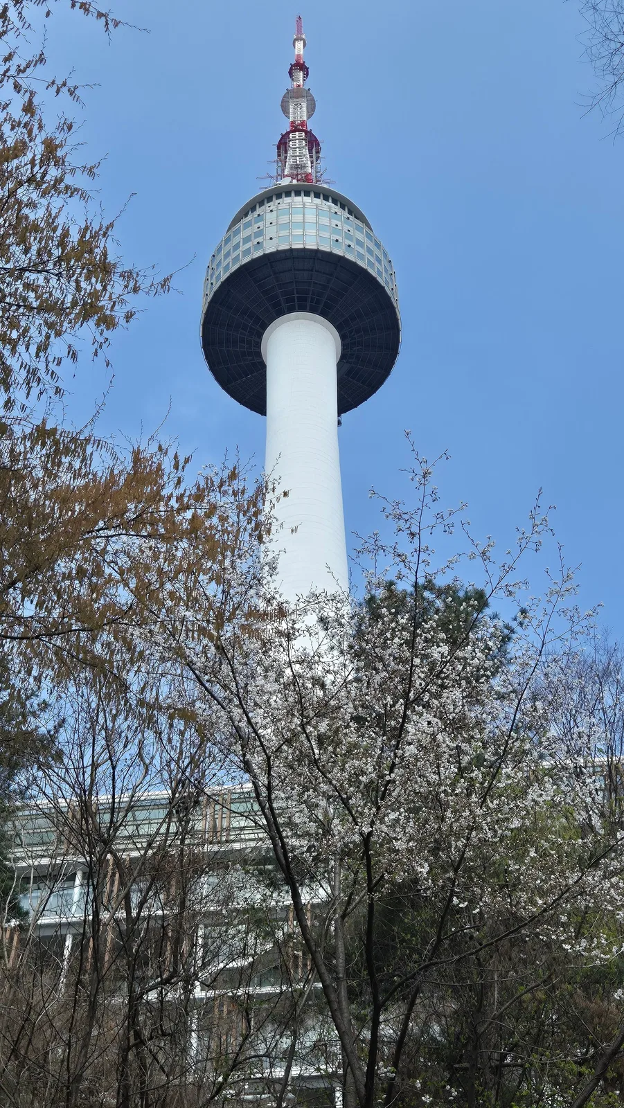 N Seoul Tower rising above the city