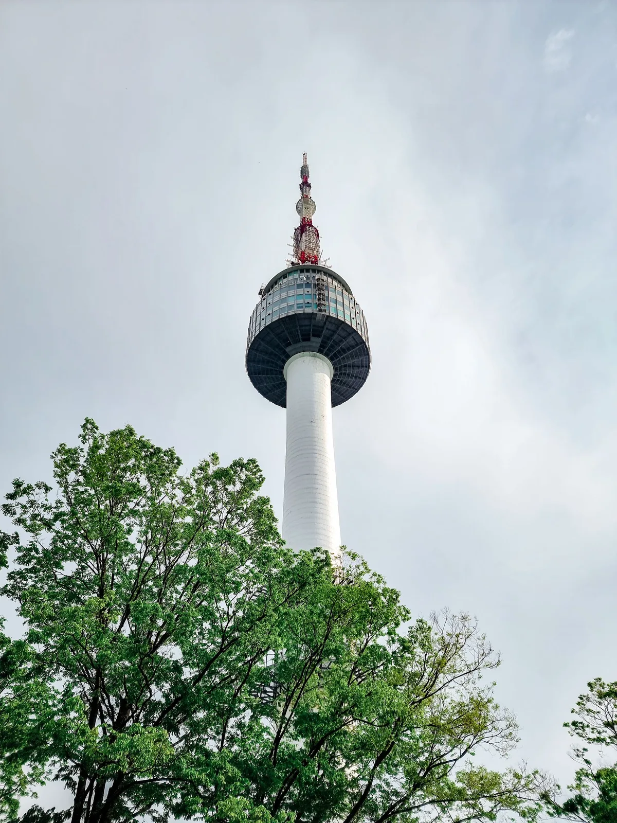 N Seoul Tower in spring